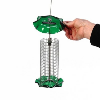 Birds Choice 1qt Sunflower Forever Bird Feeder - Green 3 Birds Choice 1qt Sunflower Forever Bird Feeder - Green