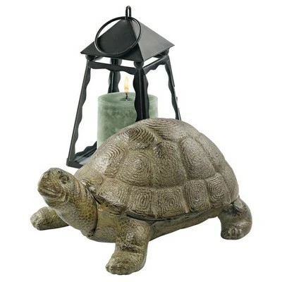 Design Toscano Aesop's Turtle Cast Iron Statue 3 Design Toscano Aesop's Turtle Cast Iron Statue