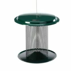 Birds Choice 5qt Backyard Nature XCD72 Bird Stuff Magnet Mesh Feeder - Green