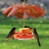 Birds Choice Oriole Nectar Bird Feeder with Weather Guard Kit -Cheap Garden Decor Store unnamed file 13379