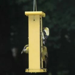 Birds Choice 1.5qt Magnet-Mesh Nyjer Finch Feeder 8 Birds Choice 1.5qt Magnet-Mesh Nyjer Finch Feeder -Cheap Garden Decor Store unnamed file 13532