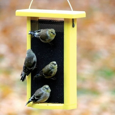 Birds Choice 1.5qt Magnet-Mesh Nyjer Finch Feeder 6 Birds Choice 1.5qt Magnet-Mesh Nyjer Finch Feeder - Image 4