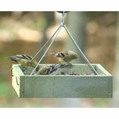 Birds Choice Hanging Tray Feeder, Small -Cheap Garden Decor Store unnamed file 13543