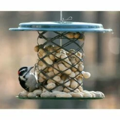 Birds Choice Whole Peanut Feeder - Green -Cheap Garden Decor Store unnamed file 13547