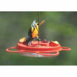 Birds Choice Oriolefest Oriole Feeder 12oz 8 Birds Choice Oriolefest Oriole Feeder 12oz -Cheap Garden Decor Store unnamed file 13550