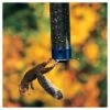 Droll Yankees Yankee Whipper Collapsing Curved Perch Squirrel Proof Bird Feeder - Blue - 21" -Cheap Garden Decor Store unnamed file 13590
