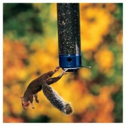 Droll Yankees Yankee Whipper Collapsing Curved Perch Squirrel Proof Bird Feeder - Blue - 21"
