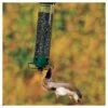 Droll Yankees Yankee Flipper Motorized Squirrel Proof Bird Feeder - Green - 21" -Cheap Garden Decor Store unnamed file 13604