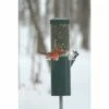 Birds Choice Nature Products Classic Pole Mount Wild Bird Feeder - Green -Cheap Garden Decor Store unnamed file 13611