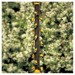 Droll Yankees New Generation 36" Finch Flocker Feeder