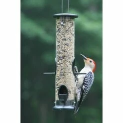 Birds Choice 2 Cup Tube Bird Feeder