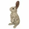 HI-LINE GIFT LTD 15" Wood Standing Rabbit Driftwood Outdoor Statue Brown - Hi-Line Gift -Cheap Garden Decor Store unnamed file 1379