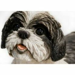 HI-LINE GIFT LTD 7.5" Polyresin Laying Down Shih Tzu Statue Black/White - Hi-Line Gift 5 HI-LINE GIFT LTD 7.5" Polyresin Laying Down Shih Tzu Statue Black/White - Hi-Line Gift -Cheap Garden Decor Store unnamed file 1396