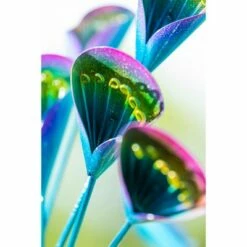 Evergreen 75"H Wind Spinner, Blue and Purple Calla Lilies -Cheap Garden Decor Store unnamed file 13984