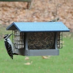 Birds Choice 3qt Green Solutions Hopper Feeder with Suets Gray with Blue Roof - Medium -Cheap Garden Decor Store unnamed file 14391