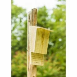 Evergreen Natural Wooden Bat House -Cheap Garden Decor Store unnamed file 1443