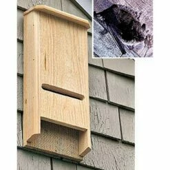 Bat House Coveside BATchelor Pad - COVESIDE CONSERVATION PRODUCTS