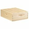 Little Giant 10 Frame Medium Honey Super Beehive Brood Body Wood Box (2 Pack)