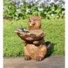 15.25" Carved Resin Birdbath Beaver - Evergreen 1 15.25" Carved Resin Birdbath Beaver - Evergreen -Cheap Garden Decor Store unnamed file 1828