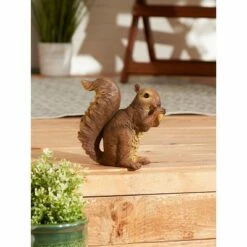 Zingz & Thingz Zingz & Thingz 6.75" Polyresin Nibbling Squirrel Garden Statue Brown 23 Zingz & Thingz Zingz & Thingz 6.75" Polyresin Nibbling Squirrel Garden Statue Brown -Cheap Garden Decor Store unnamed file 185