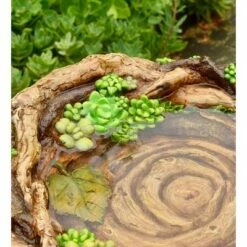 Plow & Hearth - Charming Weather-Safe Resin Succulent Birdbath Resembling Tree Trunk -Cheap Garden Decor Store unnamed file 1858