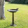 Alpine Corporation 27" Polyresin Antique Style Outdoor Birdbath Bowl with Bird Figurine Bronze 2 Alpine Corporation 27" Polyresin Antique Style Outdoor Birdbath Bowl with Bird Figurine Bronze -Cheap Garden Decor Store unnamed file 1914