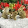 Design Toscano The Bunny Den, Garden Rabbit Statues, Set of 3 - Brown -Cheap Garden Decor Store unnamed file 196