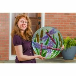 Evergreen 18" Hand Painted Bird Bath with Crushed Glass, Dragonflies over Cattails -Cheap Garden Decor Store unnamed file 2013