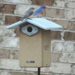 Birds Choice 13" Recycled Poly-Lumber Ultimate Bluebird House Blue -Cheap Garden Decor Store unnamed file 2305