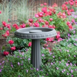 17" Bird Bath with Pedestal Charcoal - Bloem