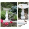 Bloem 25" Promo Bird Bath - White 1 Bloem 25" Promo Bird Bath - White -Cheap Garden Decor Store unnamed file 2404
