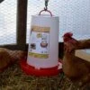 Farm Innovators Inc Farm Innovators HPF-100 Thermostatically Controlled Heated 3 Gallon Plastic Outdoor Year Round Hanging Poultry Chicken Water Fountain, Red
