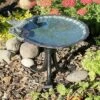 10.75" Tall Scallop Shell Birdbath with Tripod Stand Antique Brass Plated - Achla Designs -Cheap Garden Decor Store unnamed file 2510