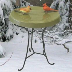 Birds Choice 9" Pedestal Heated Birdbath Green -Cheap Garden Decor Store unnamed file 2547