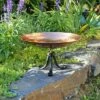 8.5" Stainless Steel Birdbath Bowl with Tripod Stand Polished Copper Plated - ACHLA Designs 1 8.5" Stainless Steel Birdbath Bowl with Tripod Stand Polished Copper Plated - ACHLA Designs -Cheap Garden Decor Store unnamed file 2565