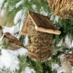 Backyard Expressions 2pc Wood Birdhouse Set Naturals -Cheap Garden Decor Store unnamed file 2704