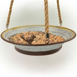 Alpine Corporation 4" Metal Tray Bird Feeder Gray/Brown 9 Alpine Corporation 4" Metal Tray Bird Feeder Gray/Brown -Cheap Garden Decor Store unnamed file 2752