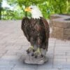 24.3" Resin Large Bald Eagle Statue Brown/White - Exhart -Cheap Garden Decor Store unnamed file 3190