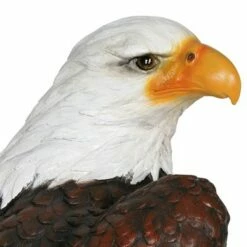 24.3" Resin Large Bald Eagle Statue Brown/White - Exhart -Cheap Garden Decor Store unnamed file 3193