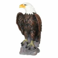 24.3" Resin Large Bald Eagle Statue Brown/White - Exhart -Cheap Garden Decor Store unnamed file 3195