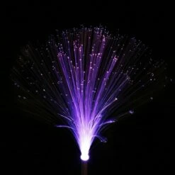 Metal and Acrylic Fiber Optic Solar Garden Stake Set - Exhart -Cheap Garden Decor Store unnamed file 3374