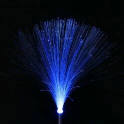 Metal and Acrylic Fiber Optic Solar Garden Stake Set - Exhart -Cheap Garden Decor Store unnamed file 3377