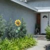 63"x16" Spring Festive Blooming Metal Sunflower Garden Stake - Alpine Corporation -Cheap Garden Decor Store unnamed file 3500