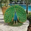 Design Toscano Peacock Plumage Garden Statue - Multicolored 1 Design Toscano Peacock Plumage Garden Statue - Multicolored -Cheap Garden Decor Store unnamed file 387