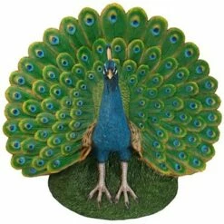 Design Toscano Peacock Plumage Garden Statue - Multicolored -Cheap Garden Decor Store unnamed file 388