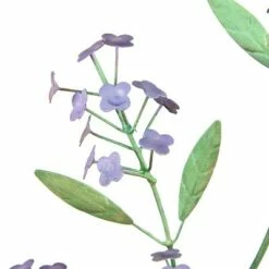 Evergreen Artisan Florals Metal Garden Stake, Set of 2- 9x31x1, 9x27x2.5 in -Cheap Garden Decor Store unnamed file 4442