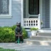 Alpine Corporation Alpine 36" Magnesium Oxide Welcome Bear Statue -Cheap Garden Decor Store unnamed file 446