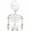 Direct International Home & Garden 23.5" Hanging Skeleton Halloween Bones Direct Designs International - Decorative Garden Stakes -Cheap Garden Decor Store unnamed file 4627