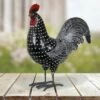 11.81" Resin Polka Dot Rooster Statue Black/White - Exhart -Cheap Garden Decor Store unnamed file 550