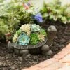 Evergreen Flag Beautiful Solar Resin Succulent Turtle - 12 x 7 x 7 Inches Homegoods and Decorations for Every Space 1 Evergreen Flag Beautiful Solar Resin Succulent Turtle - 12 x 7 x 7 Inches Homegoods and Decorations for Every Space -Cheap Garden Decor Store unnamed file 695